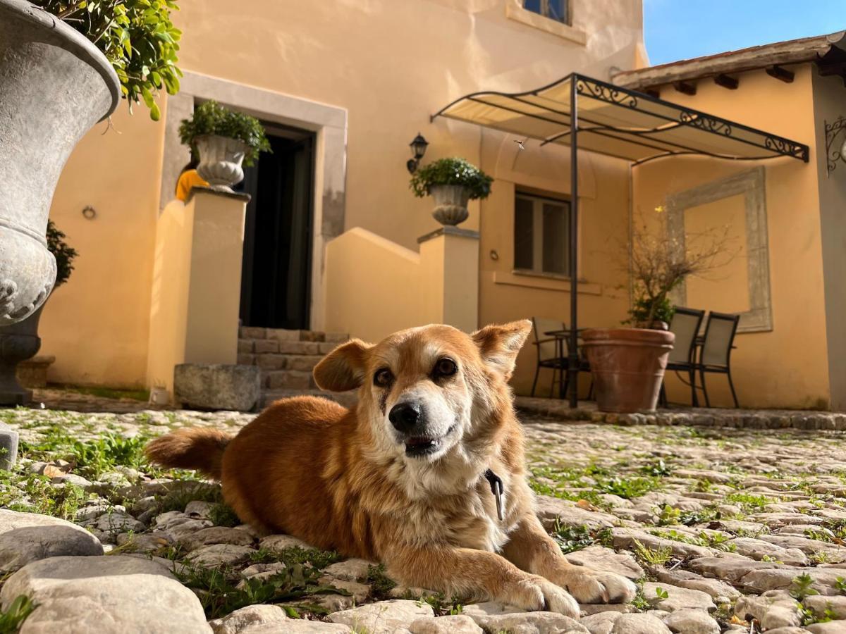 Agriturismo Castello Santa Margherita Cori Exterior photo